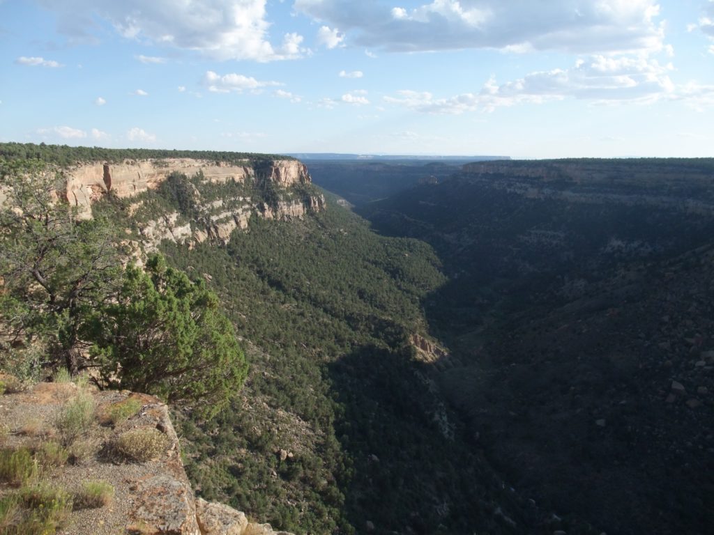 Navajo Canyon View