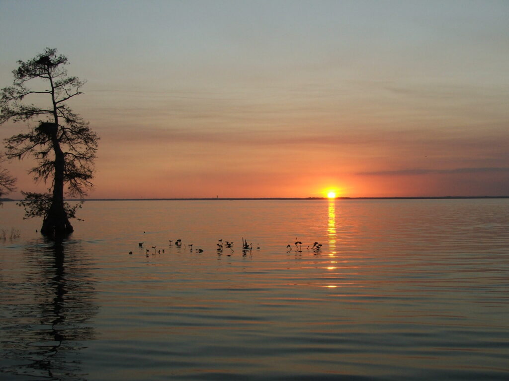 Lake Istokpoga