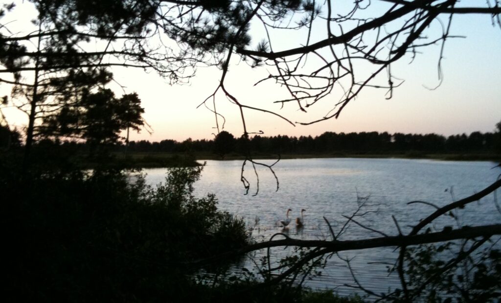 Seney National Wildlife Refuge