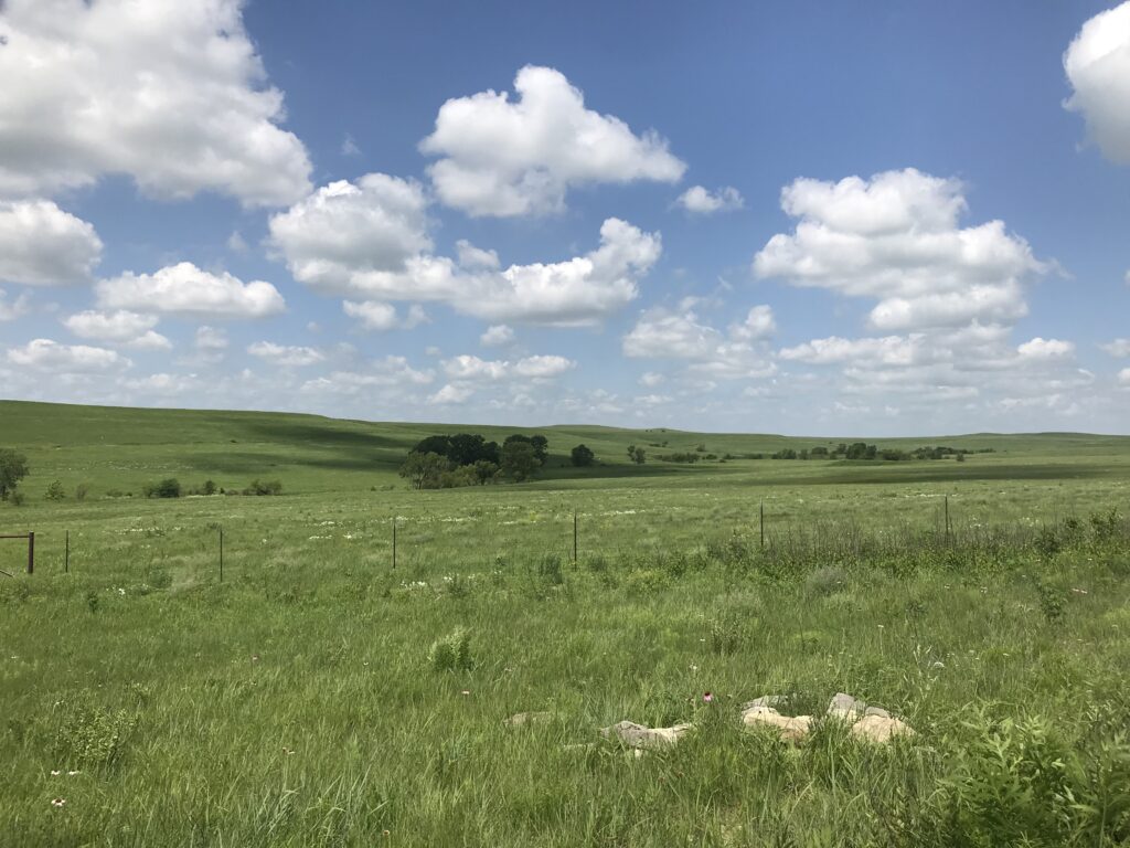 West Traps Pasture