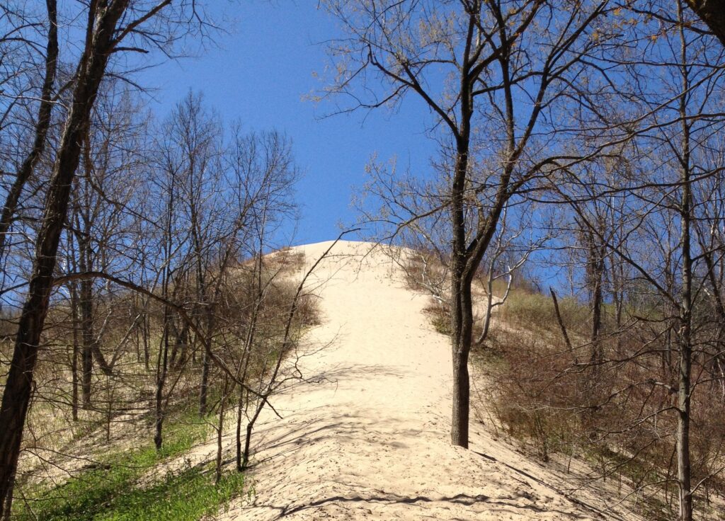 Warren Dunes State Park