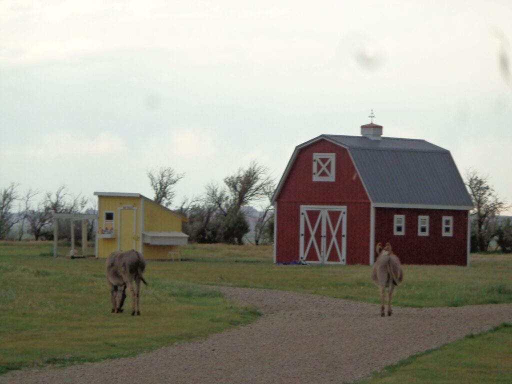 Circle View Guest Ranch